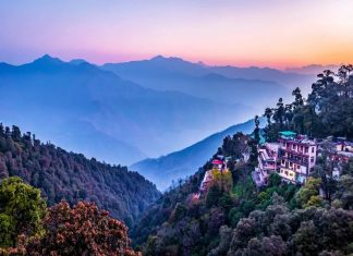 Guide to Explore the Best of Almora