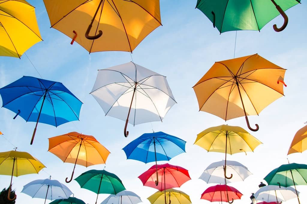 Establishing Insurance Company