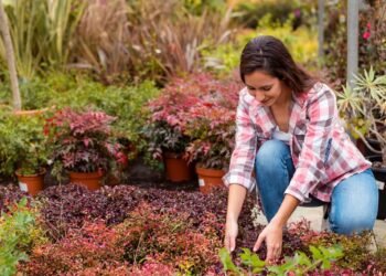Best Plant Nursery in Melbourne