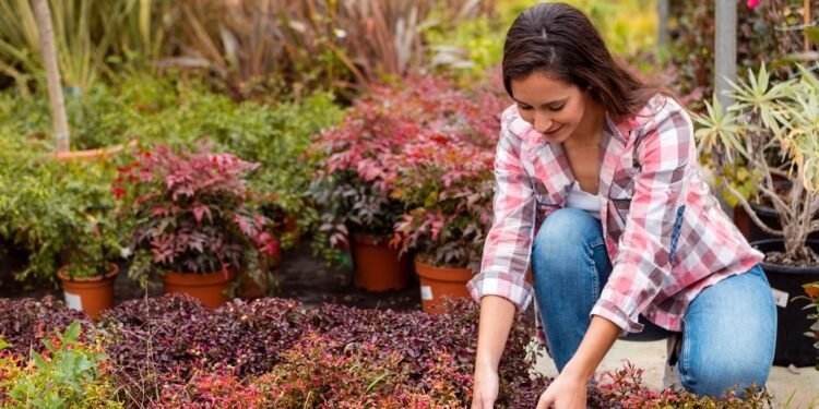 Best Plant Nursery in Melbourne