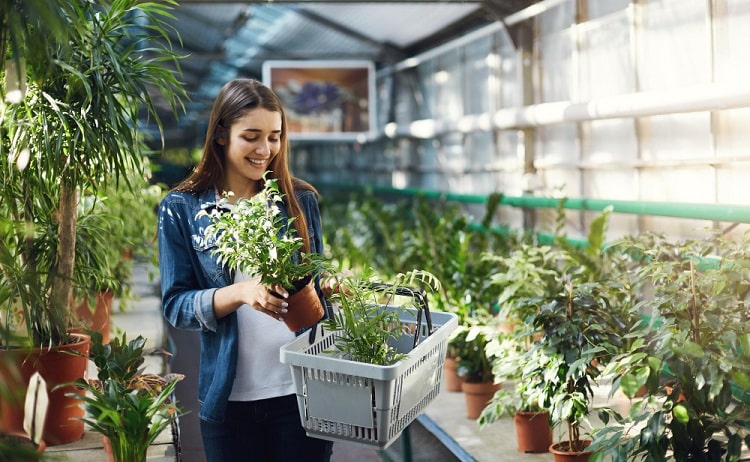 Find the Best Plant Nursery in Melbourne