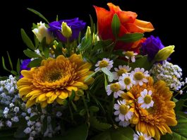 Amazing Flowers Gift Ideas For The Elderly