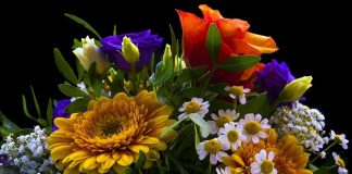Amazing Flowers Gift Ideas For The Elderly